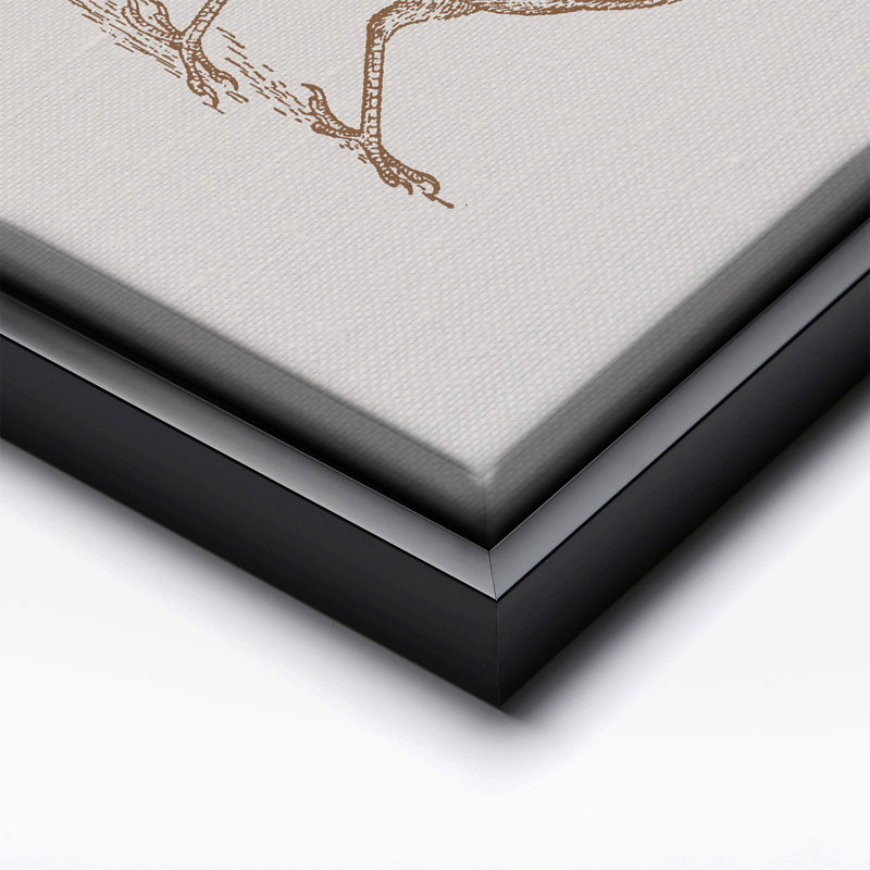 Roadrunner brun, Black Framed, Canvas, 08"H x 10"W