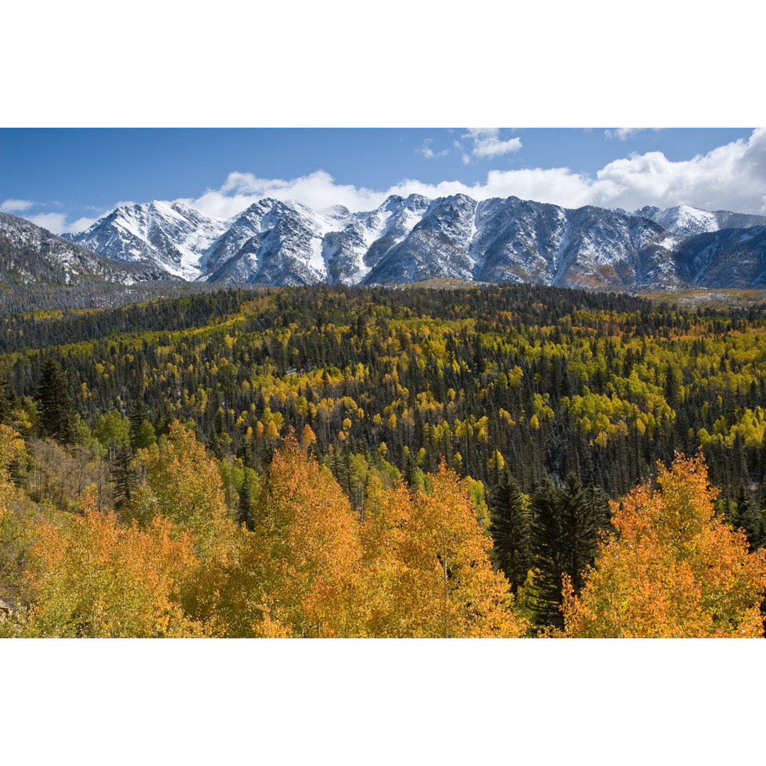 San Juan Mountains - Kunstdrucke auf Leinwand ohne Rahmen