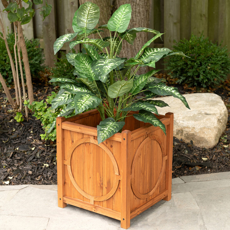 Boîte à fleurs cypress Decorative Planters