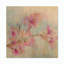 «Pink Blossoms Branch - Shabby Elegance», reproduction d'art murale en bois-77165718