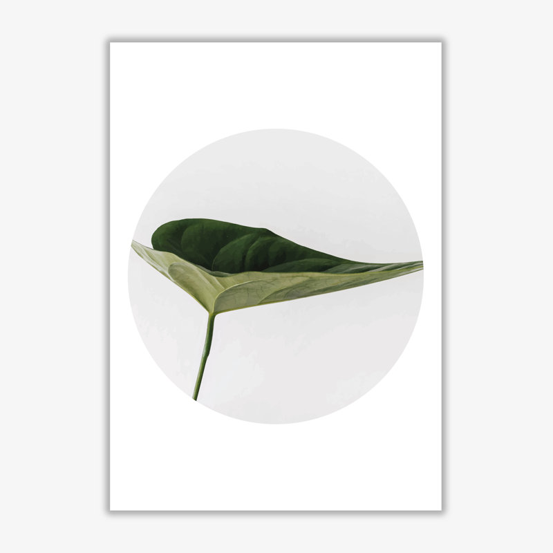 Doc Leaf - Print, No Frame, 85 cm H x 60 cm W x 1 cm D