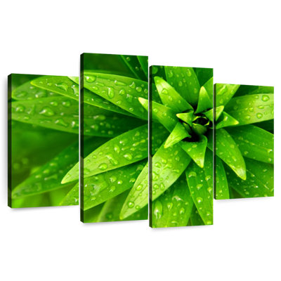 Harnek Droplets On Green Leaves