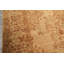 Tapis traditionnel beige en laine noué à la main 8 pi 9 po x 11 pi 8 po Agra