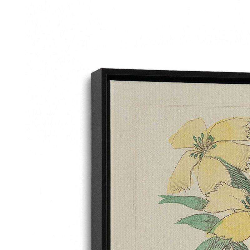Salvia Florals II, reproduction d'art sur toile, H 36 po x l 24 po, Noir, Cadre flottant