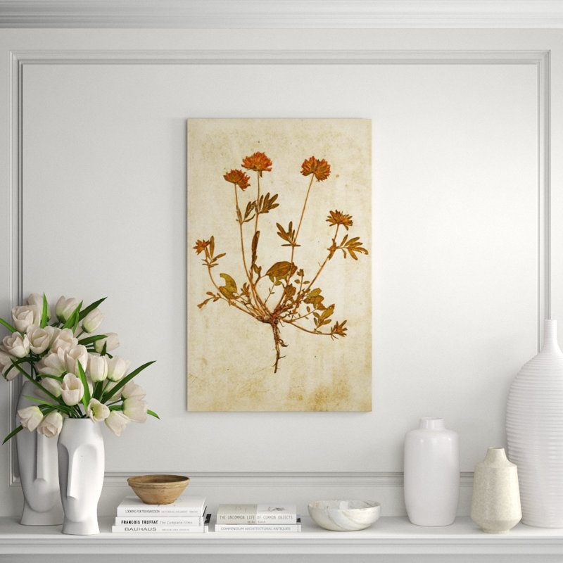 Pressed Flowers VI Print by Michelle Bennett, Outdoor, 28" H x 24" W x 1.5" D