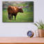 Art épique «Longhorn Oil Paint» par Rick Berk, Acr «Longhorn Oil Peinture» par Rick Berk