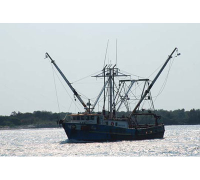 " Fisherman " by Jason Pierce