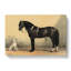 Horse and Hound by Emil Volkers - Wrapped Canvas-55359959