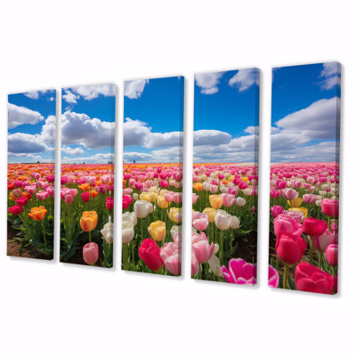 Pink And Yellow Tulip Field Beauty - Tulip 5 Piece Wall Art