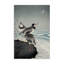  Art mural classique par Ohara Koson-30783464
