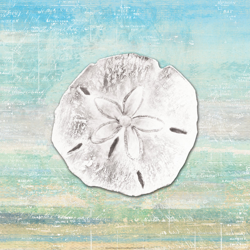 Seashell 2 - Wrapped Canvas Painting, 30cm H x 30cm W x 3.8cm D
