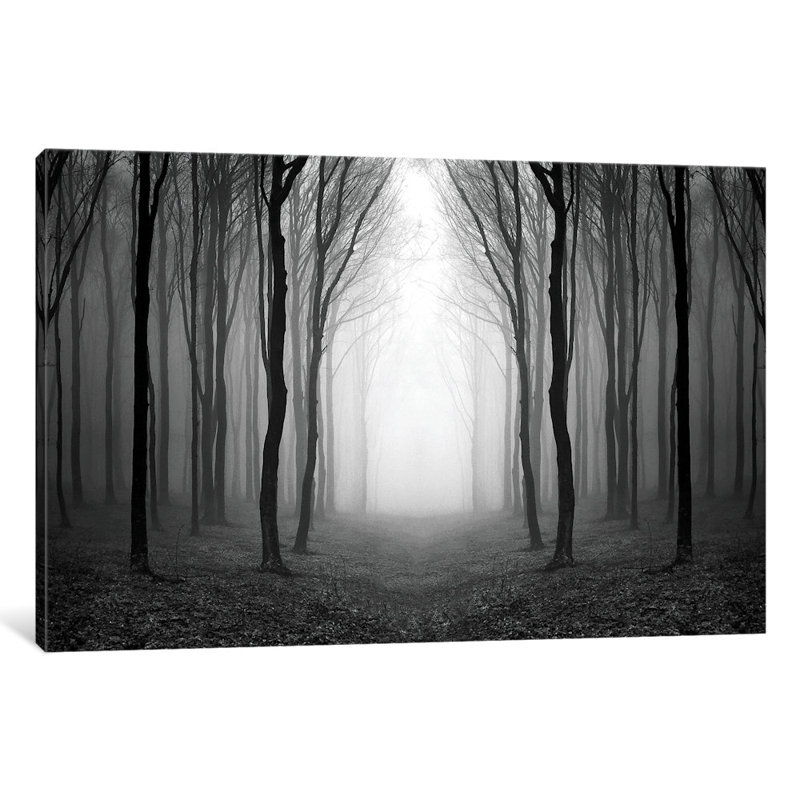 « darking », reproduction de photo sur toile, H 18 po x l 26 po x P 1,5 po, Toile tendue, Pas de tapis