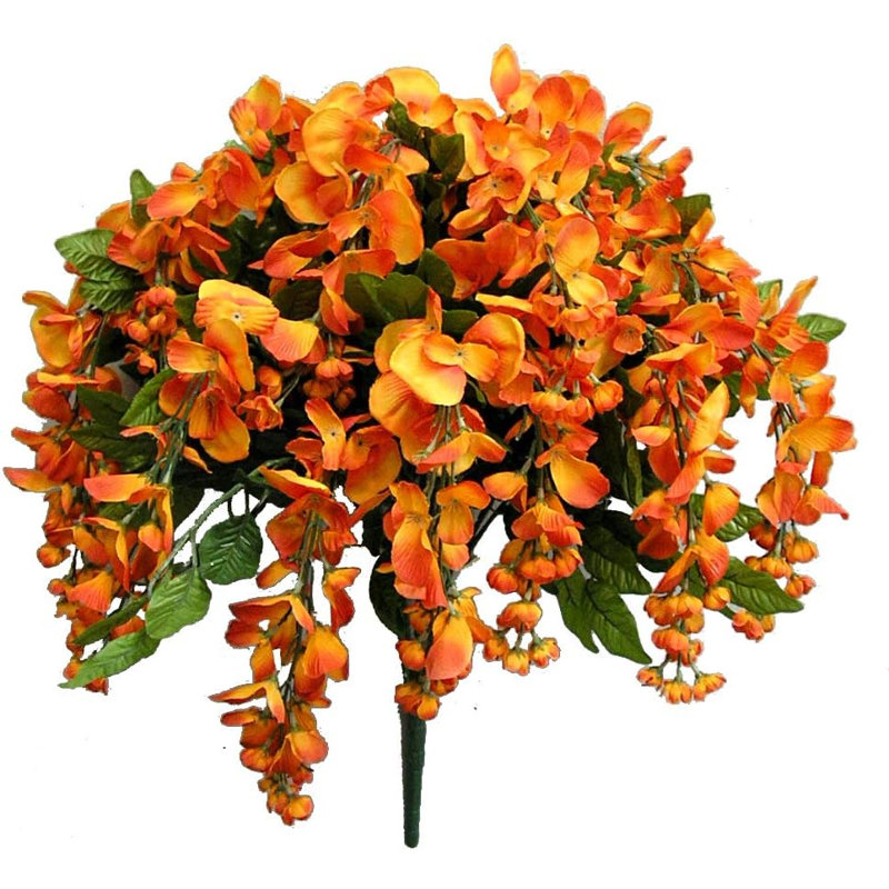 Fleurs et tiges de glycine, Citrouille