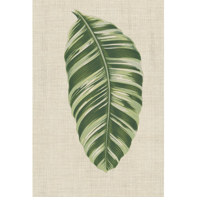 Leaves on Linen VI - Graphic Art