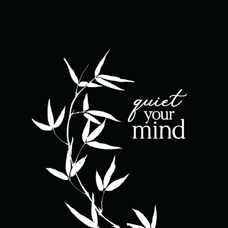 Quiet Your Mind 1 Piece Wrapped Canvas Wall Art, 122cm H x 122cm W