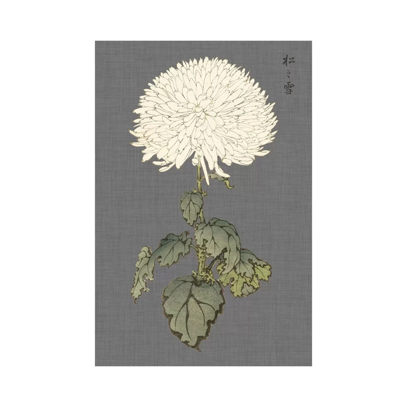 Dramatic Ivory Mums I by Vision Studio - Wrapped Canvas Painting, 20.32 cm H x 30.48 cm W