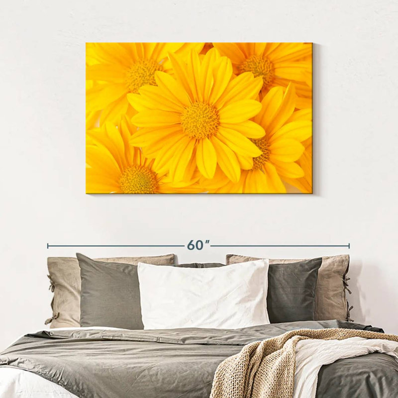 Marguerites jaunes Harnek, H 30 po x l 45 po