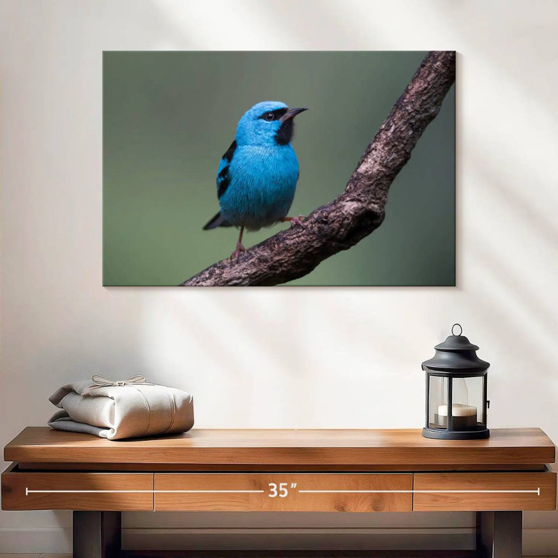 Brampt Vivid Blue Bird, 16" H x 24" W