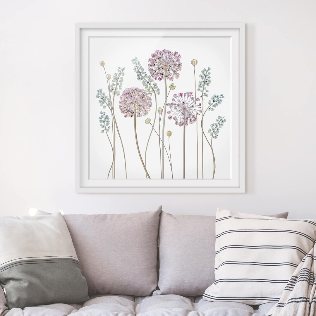 Gerahmtes Papierbild Allium Illustration