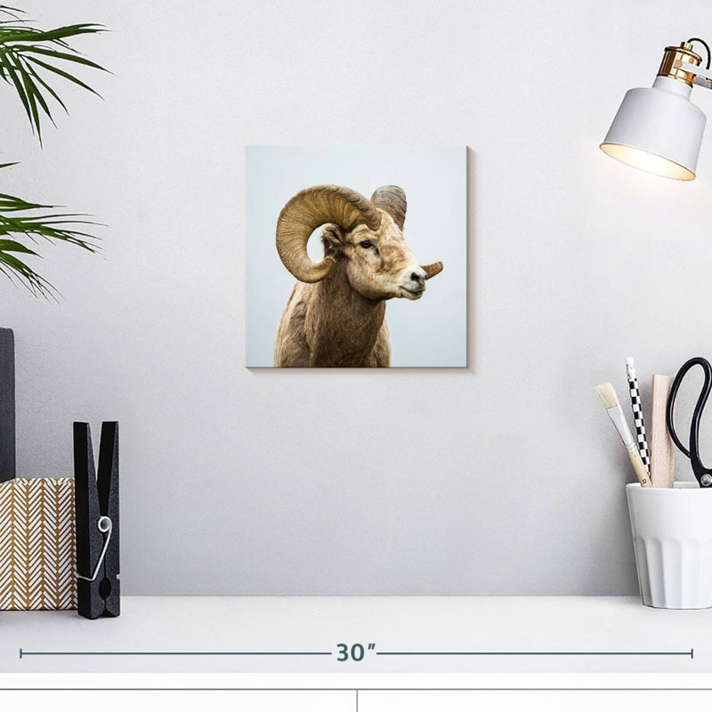 Crowle Lonely Bighorn Sheep, H 10 po x l 10 po