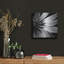 «Back Of Flower Bw» par Tom Quartermaine, art mural en métal-1589793706