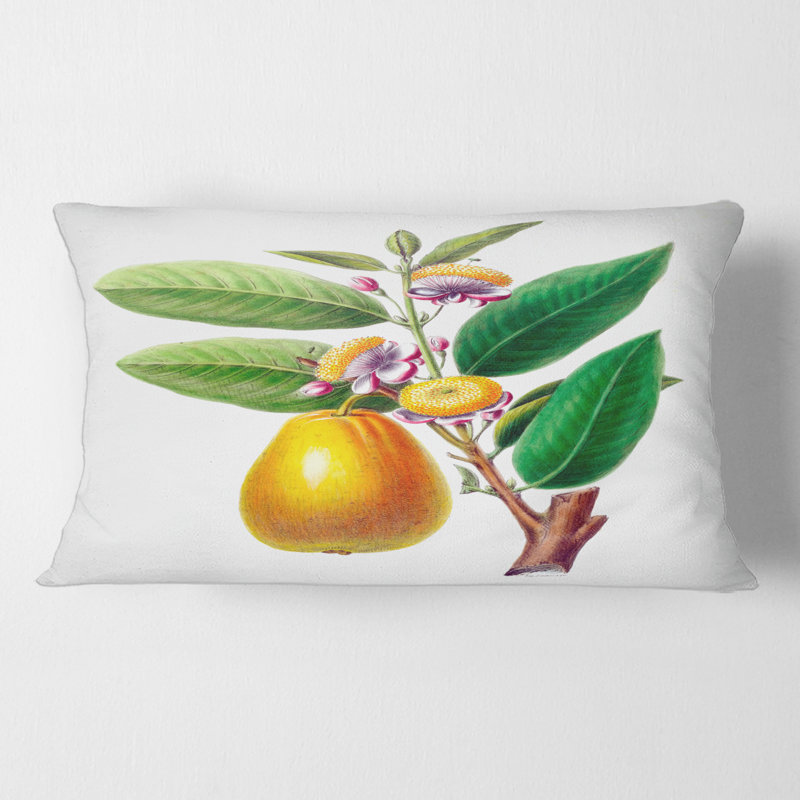 Coussin Rectangle, Vintage Fruits I - Farmhouse