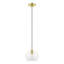 Luminaire suspendu géométrique à 1 lumière Donivin-83153136