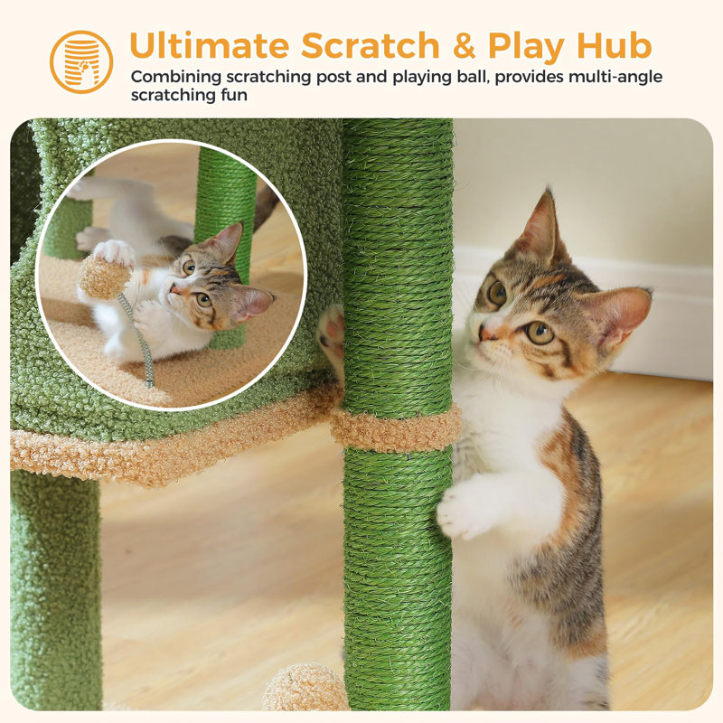 Arbre à chat pour chat d'intérieur, tour à chat 26 po avec grand perchoir, condo privé, petit chat