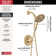 Monitor 14 Series Shower Only Trim Only with In2ition Hand Shower