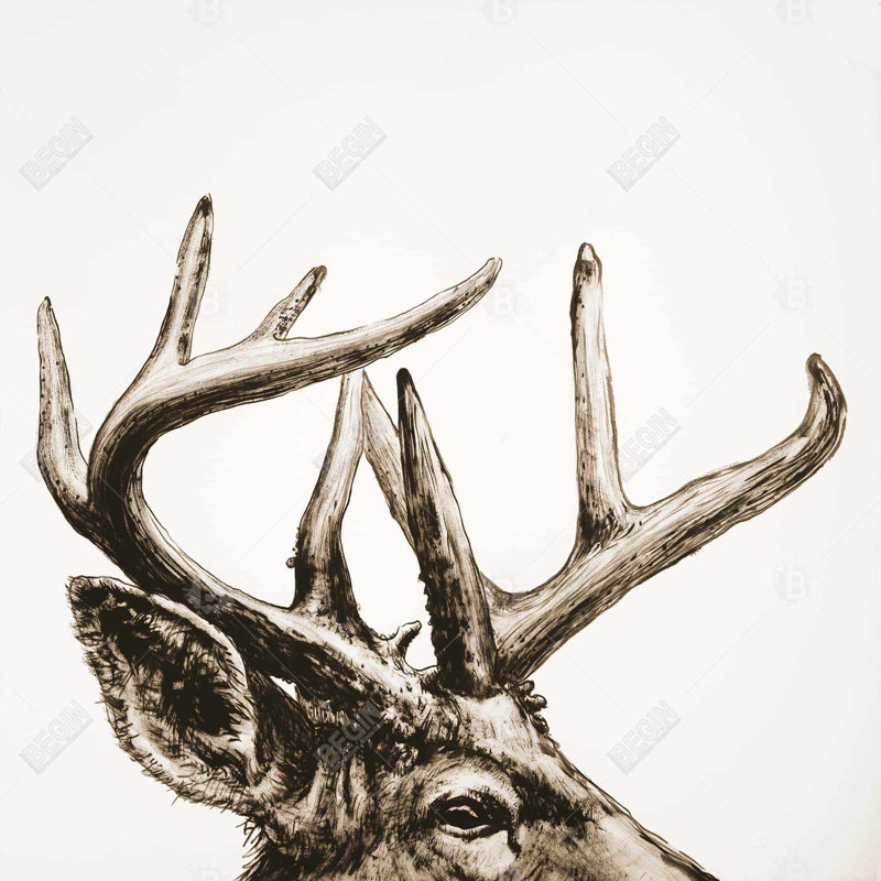 Toile encadrée Roe Deer Plume | Art mural animal beige