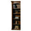 Caylee Left Pier Standard Bookcase