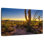 Coucher de soleil sur le parc national Harnek Saguaro