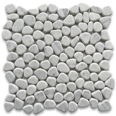 Carreau de mosaïque 12 po x 12 po