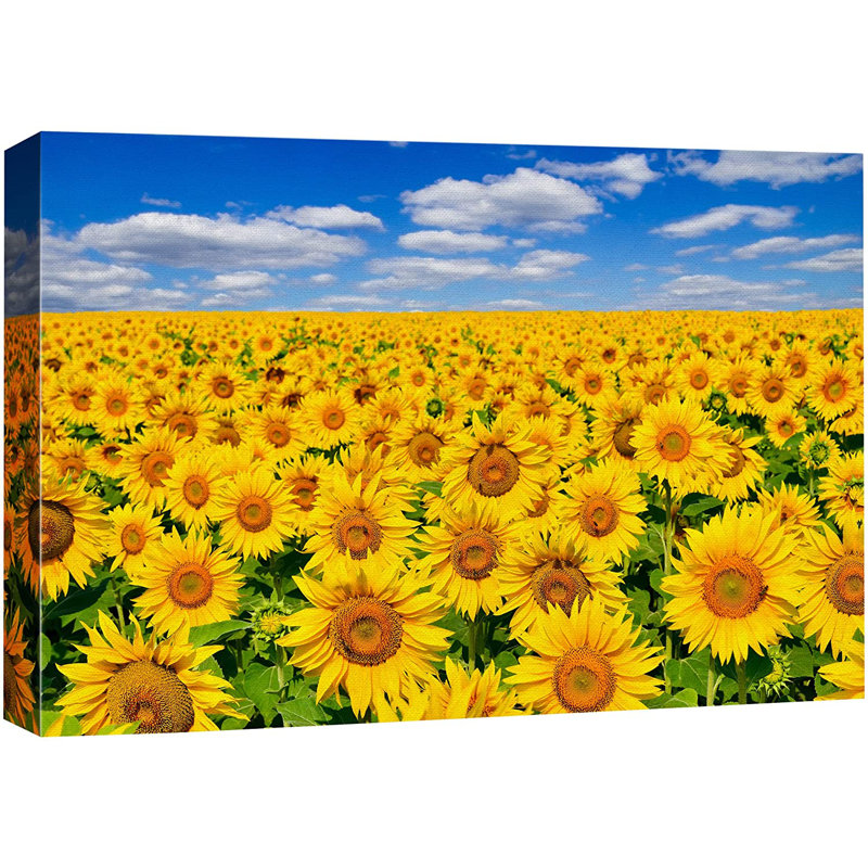 Tournesol, ciel nuageux, horizon, tournesols, nature sauvage - photographie sur toile tendue, H 24 po x l 36 po x P 1,5 po