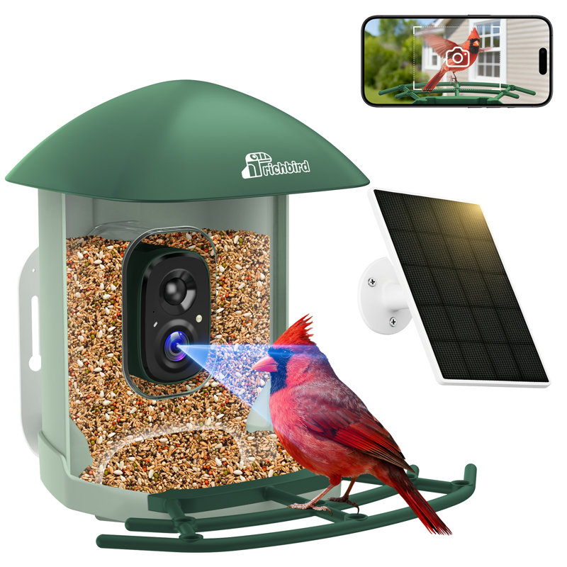  Mangeoire à énergie solaire Coolfly X Richbird avec caméra HD 2,5K en vert forêt, Green
