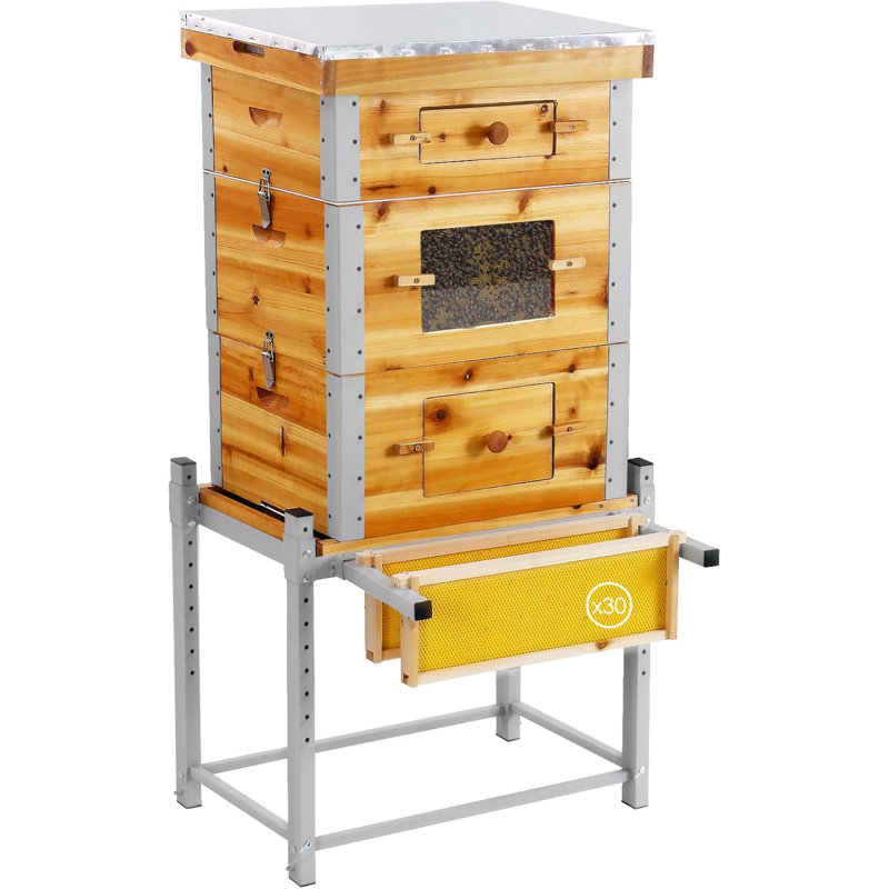 Ensemble de 3 boîtes de ruche à 3 couches - ruche en cèdre enduit de cire d'abeille avec support en métal, comprend 10 cadres moyens et 20 profonds et fondations