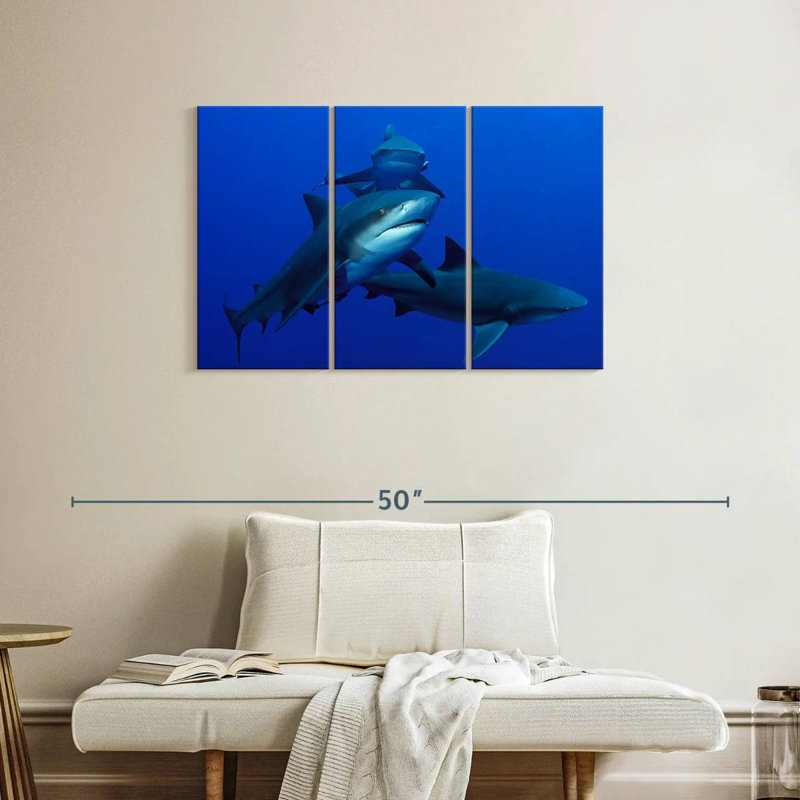 Brampt Triple Sharks, 24" H x 38" W