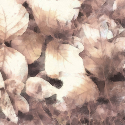 Blush Shaded Leaves IV by Alonzo Saunders - Wrapped Canvas Painting