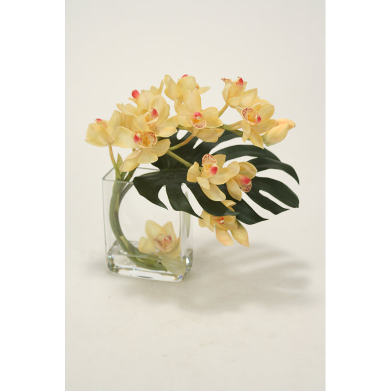 Orchidées en verre rectangulaire courbé-bourgogne cymbidium avec feuille de philo split