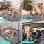 Tapis pour chien avec pattes boueuses, piège à saleté non absorbant ...