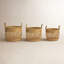 Ensemble de 3 paniers en ruppie maritime Colombe