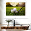 Terrain de golf Senne Country Club-115336917