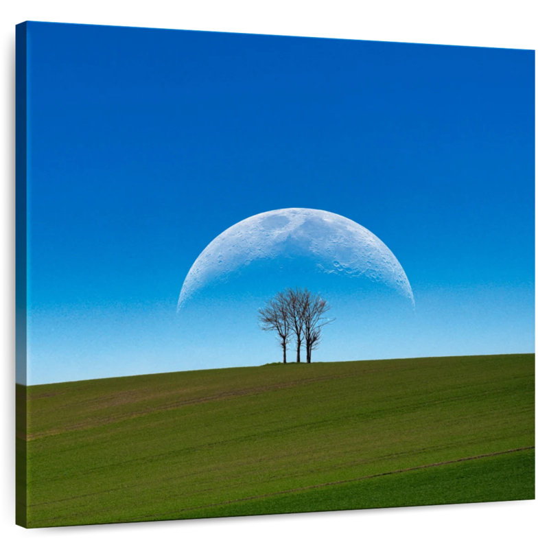 Oberle Twilight Moon And Tree, 16" H x 16" W