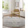 Oriental Indoor Rug