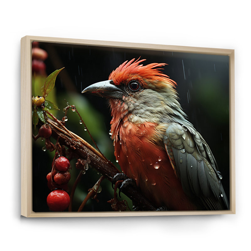 Photographie d'un oiseau tropical orange sur une branche, H 16 po x l 32 po x P 1 po, Cadre naturel flottant