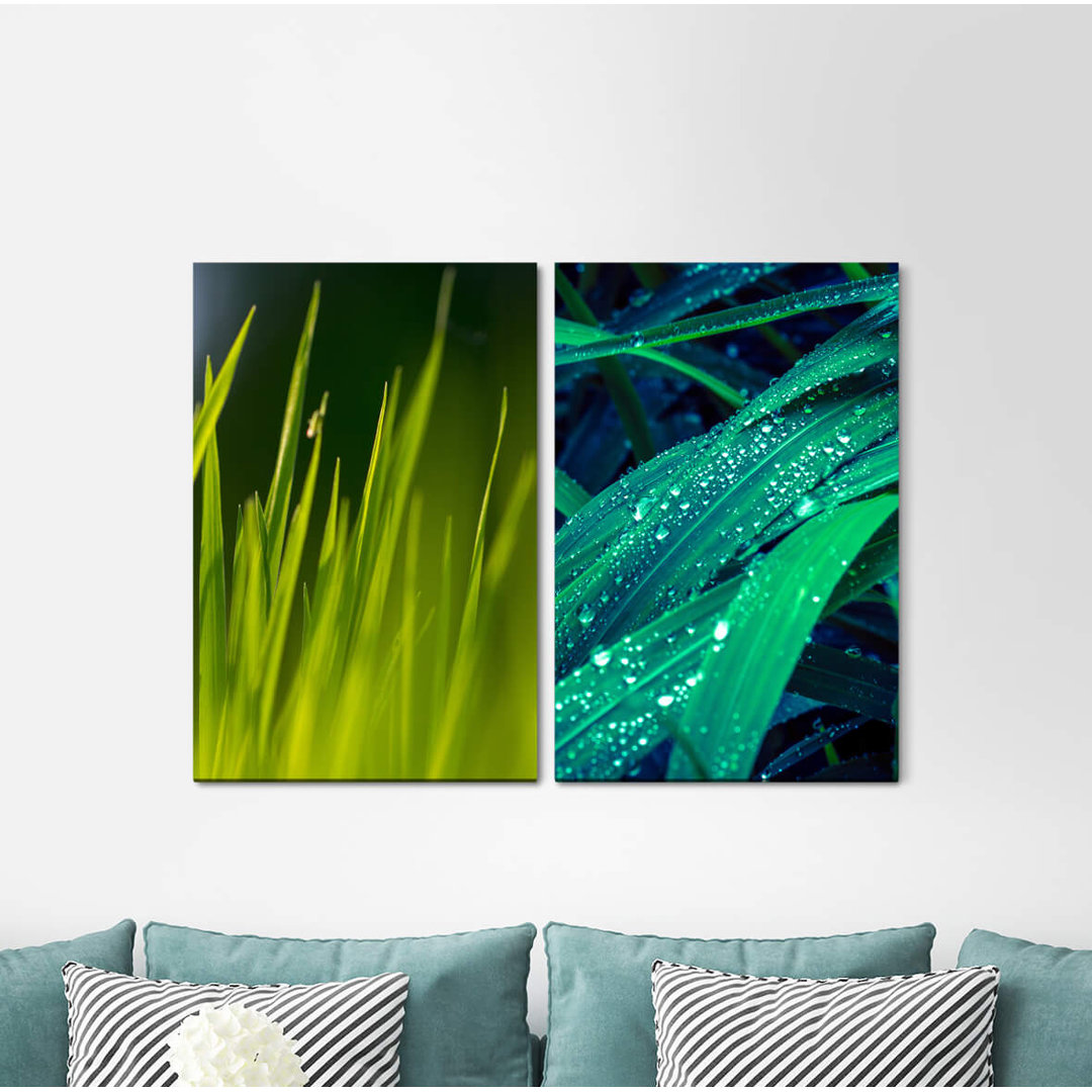 2-tlg. Leinwandbilder-Set - Fotografie „Blades of Grass Raindrops Morning Dew Nature”