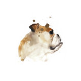 Dog Days V Print by Emma Brooks