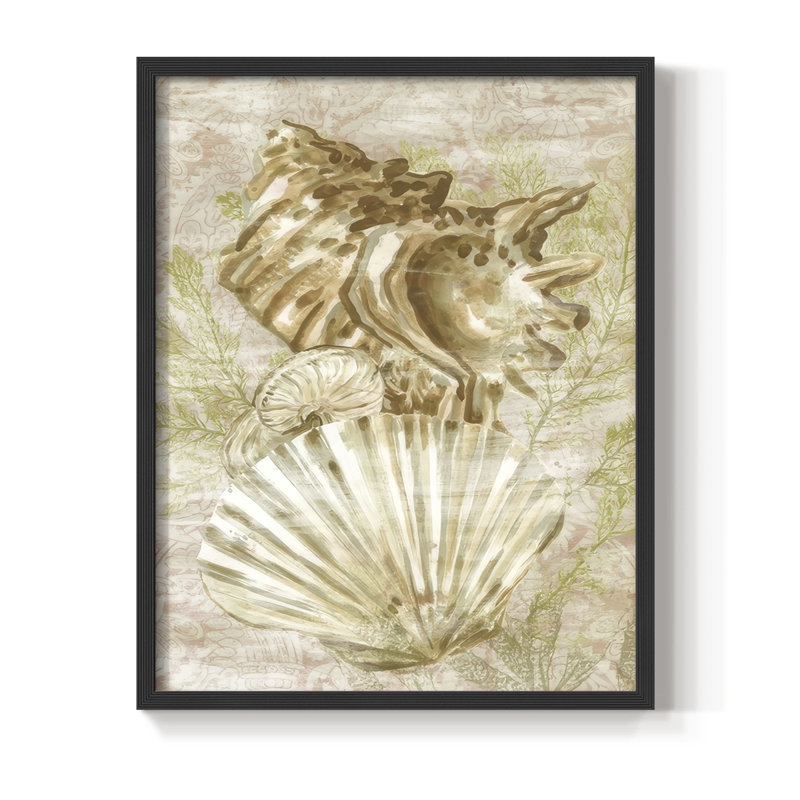 «Antique Peach Shell Collage II», reproduction encadrée - bois massif, Noir, noir, noir, noir, H 15 po x l 12 po