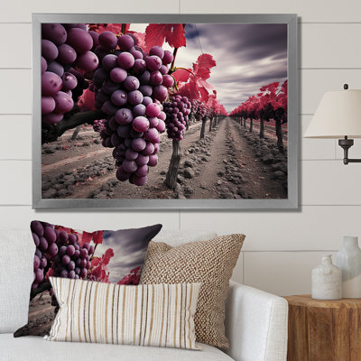 " France Bordeaux Vineyard Symphony II "
