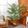 Adcock Artificial Palm Tree in Pot Faux Green Areca Palm Plant, Fake Tree for Home Decor